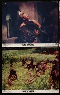 8k374 PLANET OF THE APES 3 8x10 mini LCs '68 Charlton Heston, cool images from classic sci-fi!