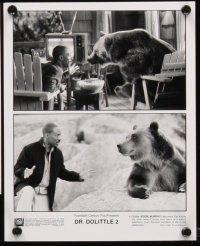 8k633 DR. DOLITTLE 2 presskit '01 cool images of Eddie Murphy & bears!