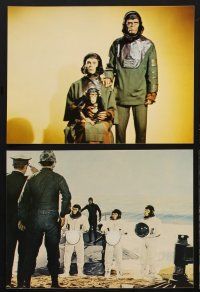 8r059 ESCAPE FROM THE PLANET OF THE APES 9 color stills '71 Kim Hunter, Roddy McDowall!