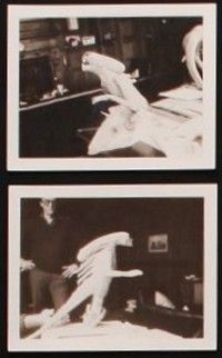 8s001 LOT OF 27 3.25x4.25 POLAROID PHOTOS FROM ALIEN '79 cool special effects model images!