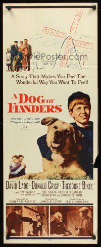 8w174 DOG OF FLANDERS insert '59 Donald Crisp, David Ladd & his huge beloved dog Patrasche!