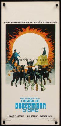 8w620 AMAZING DOBERMANS Italian locandina '77 different artwork of dogs carrying weapons & cash!