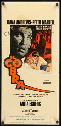 8w651 COBRA Italian locandina '67 Dana Andrews, Peter Martell, sexy Anita Ekberg, Geleng art!