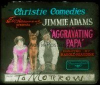 8x039 AGGRAVATING PAPA glass slide '24 wacky image of Jimmie Davis with German Shepherd dog!