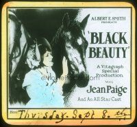 8x043 BLACK BEAUTY glass slide '21 close up of pretty Jean Paige petting horse!