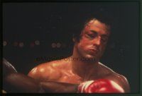 8x189 ROCKY II set of 19 35mm slides '79 Sylvester Stallone & Carl Weathers, boxing sequel!