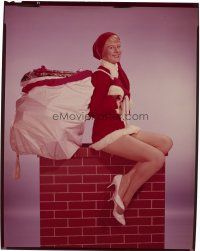 8x237 SHIRLEY KNIGHT 8x10 transparency '60 smiling portrait on chimney as sexiest Santa!