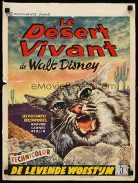8y763 LIVING DESERT Belgian '53 first feature-length Disney True-Life adventure, angry cat!