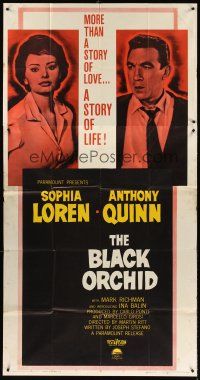 9f534 BLACK ORCHID 3sh '59 Anthony Quinn, Sophia Loren, a story of love directed by Martin Ritt!
