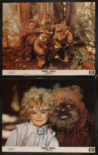 9g085 CARAVAN OF COURAGE 8 color 11x14 stills '84 Eric Walker, An Ewok Adventure, Star Wars!