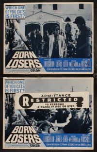 9g072 BORN LOSERS 8 LCs '67 Tom Laughlin directs and stars as Billy Jack, sexy motorcycle action!