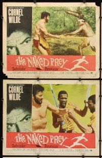 9g273 NAKED PREY 8 LCs '65 Cornel Wilde stripped and weaponless in Africa running from killers!