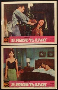 9g535 RAGE TO LIVE 7 LCs '65 Suzanne Pleshette, Peter Graves, from John O'Hara's novel!