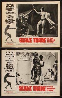9g358 SLAVE TRADE IN THE WORLD TODAY 8 LCs '65 the smuggled motion pictures of a sheik's harem!