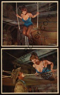 9p006 CIRCUS WORLD 2 ItalEnglish LCs '65 great images of sexy Claudia Cardinale!