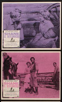 9p057 SHANE 5 Mexican LCs R70s classic western, Alan Ladd, Jean Arthur, Van Heflin, Brandon De Wilde