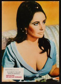 9p075 REFLECTIONS IN A GOLDEN EYE 2 Spanish LCs R78 Huston, cool images of pretty Elizabeth Taylor!