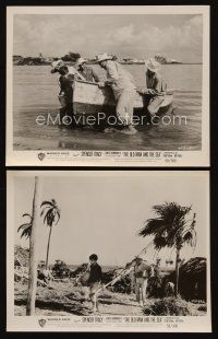 9y973 OLD MAN & THE SEA 2 8x10 stills '58 Spencer Tracy, Ernest Hemingway, directed by John Sturges!