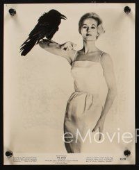 9y722 BIRDS 4 8x10 stills '63 Alfred Hitchcock, Tippi Hedren, Suzanne Pleshette, great images!