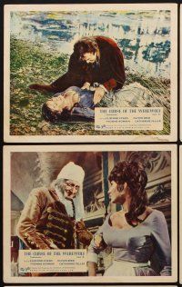 9y005 CURSE OF THE WEREWOLF 8 color English FOH LCs '61 Hammer, Oliver Reed, Terence Fisher