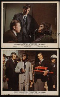 9y085 ESCAPE FROM THE PLANET OF THE APES 3 color English FOH LCs '71 Roddy McDowall, sci-fi sequel!