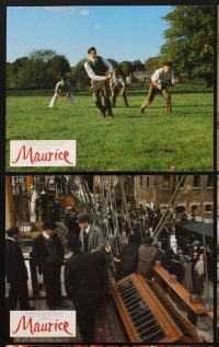 9y036 MAURICE 8 color English FOH LCs '87 Hugh Grant, gay romance by James Ivory & Ismail Merchant!