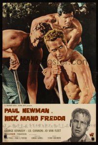 1b205 COOL HAND LUKE Italian photobusta '67 close up of barechested Paul Newman digging with men!