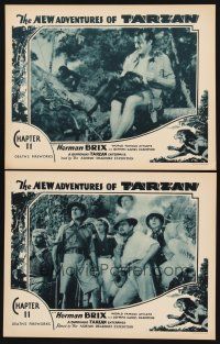 1f958 NEW ADVENTURES OF TARZAN 2 chapter 11 LCs '35 great image of Bruce Bennet with monkies!
