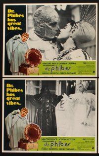 1f036 ABOMINABLE DR. PHIBES 8 LCs '71 hideous Vincent Price & Virginia North, great images!