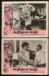 1f147 CURSE OF THE FLY 8 LCs '65 Brian Donlevy, English sci-fi monster sequel!