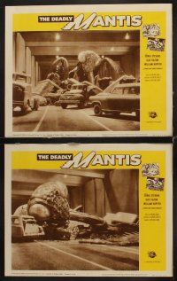 1f159 DEADLY MANTIS 8 LCs R64 giant insect sci-fi horror, Craig Stevens, Alix Talton!