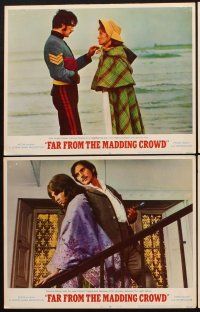 1f205 FAR FROM THE MADDING CROWD 8 LCs '68 Julie Christie falls for dashing Terence Stamp!