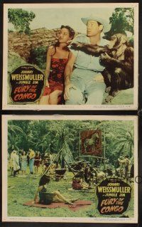 1f771 FURY OF THE CONGO 4 LCs '51 great images of Johnny Weissmuller as Jungle Jim!