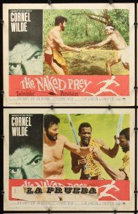 1f383 NAKED PREY 8 LCs '65 Cornel Wilde stripped and weaponless in Africa running from killers!