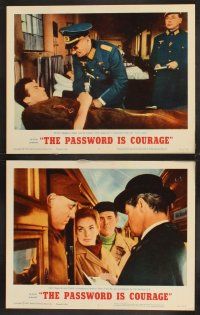 1f646 PASSWORD IS COURAGE 7 LCs '63 Dirk Bogarde in an English version of The Great Escape!