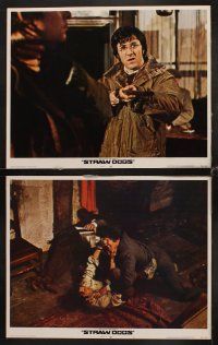 1f513 STRAW DOGS 8 LCs '72 Dustin Hoffman & Susan George, directed by Sam Peckinpah!