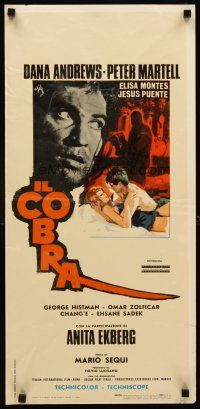 1h086 COBRA Italian locandina '67 Dana Andrews, Peter Martell, sexy Anita Ekberg, cool art!