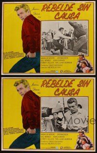 1k445 REBEL WITHOUT A CAUSE 6 Mexican LCs R84 Nicholas Ray, James Dean, bad boy from a good family!