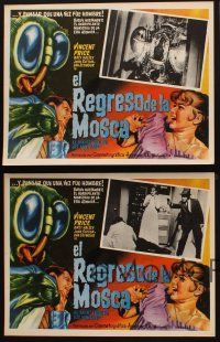 1k461 RETURN OF THE FLY 4 Mexican LCs R60s Vincent Price, different insect monster border art!