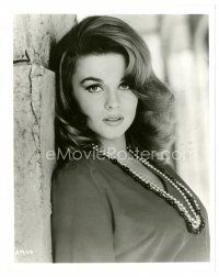 1m037 ANN-MARGRET 8x10 still '60s close up of the sexy star leaned against wall!