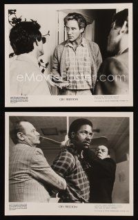 1w840 CRY FREEDOM 2 8x10 stills '87 Kevin Kline, Denzel, directed by Richard Attenborough!