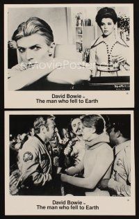 1w914 MAN WHO FELL TO EARTH 2 8x10 stills '76 alien David Bowie, Candy Clark, Roeg directed!
