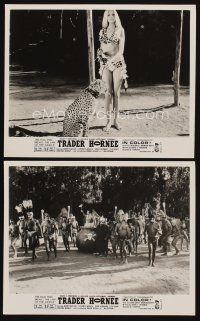 1w981 TRADER HORNEE 2 8x10 stills '70 sexy jungle goddess Deek Sills in jungle w/cat & natives!