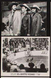 1w397 EL SIETE VIDAS 7 Mexican 8x10 stills '80 Andres Garcia, Alicia Juarez, cowboy action!