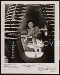 1w616 FLY 4 8x10 stills '86 David Cronenberg, Jeff Goldblum, cool sci-fi art of telepod by Mahon!