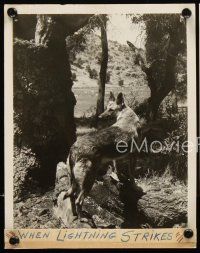 1w991 WHEN LIGHTNING STRIKES 2 8x10 stills '34 cool images of the German Shepherd dog hero!