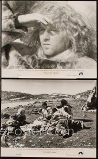 1w700 WHITE DAWN 4 8x10 stills '74 Timothy Bottoms & native cast in Arctic adventure!