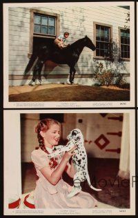 1w161 GYPSY COLT 4 color 8x10 stills '54 Ward Bond, Frances Dee, young Donna Corcoran & stallion!