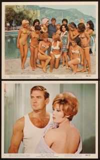 1w040 LIQUIDATOR 9 color 8x10 stills '66 Rod Taylor, Trevor Howard, Jill St. John & sexy spy babes