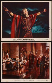 1w188 TEN COMMANDMENTS 3 color 8x10 stills '56 best image of Charlton Heston as Moses!